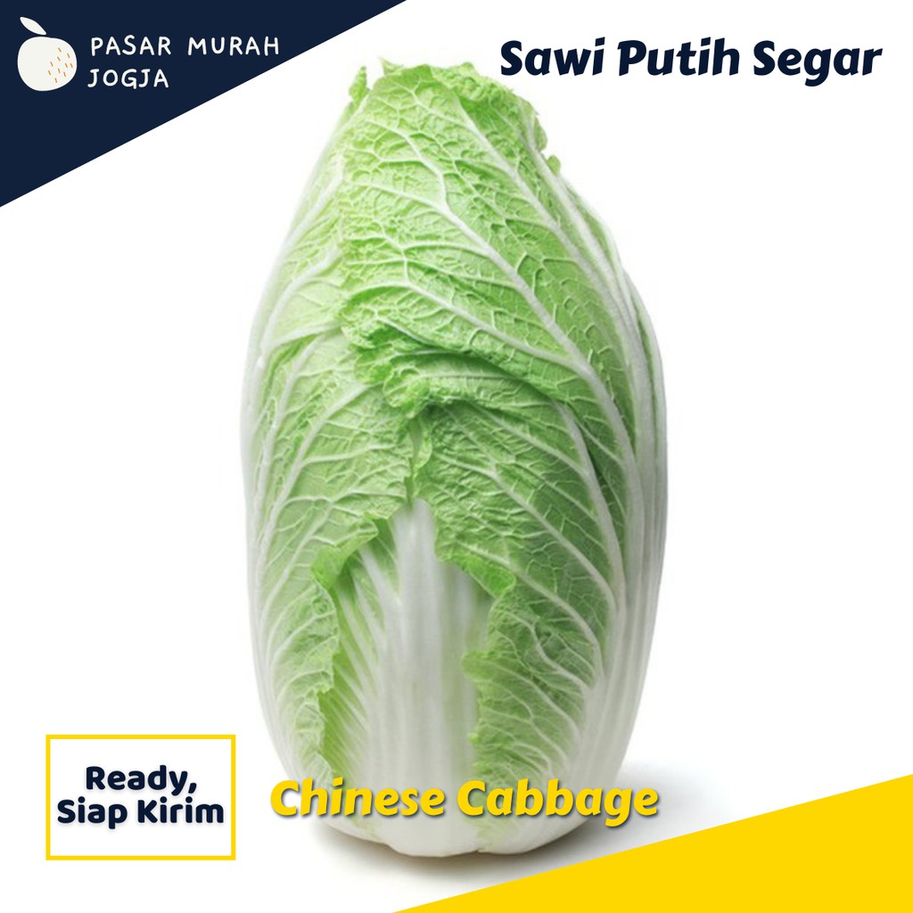 

Sawi Putih Sayur 500gr Sayuran Segar Pasar Murah Jogja