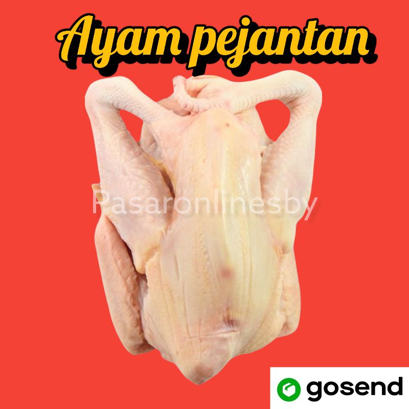 

PASAR GUBENG - Ayam Pejantan - Per Ekor