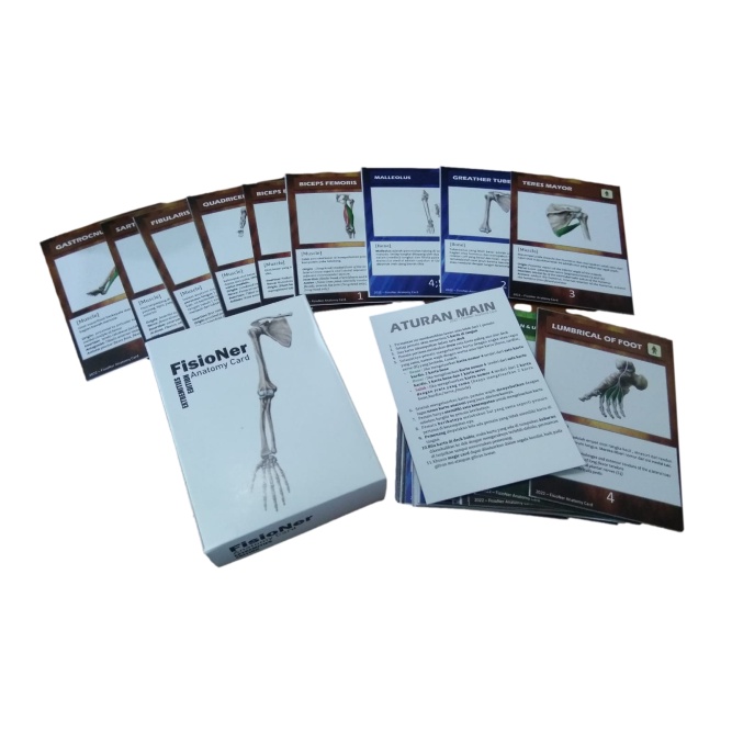Fisioner Anatomy Card