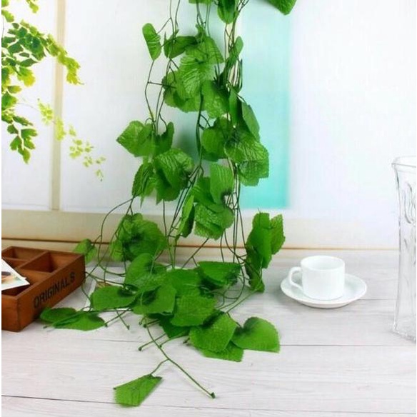 ➥ Daun rambat/aun Artifical / Daun Plastik /Daun merambat/Daun anggur/D-23 /1lusin ❃