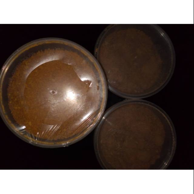 

Jamu JAHE 8 Ramuan