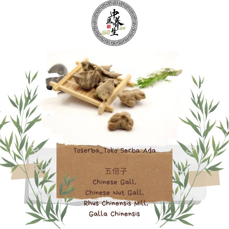 

100gr Herbal Wu Bei Zi Chinese Nut Gall / Galla Chinensis / Gallnuts / Rhus Chinensis / Sumac / Nutgall Cina