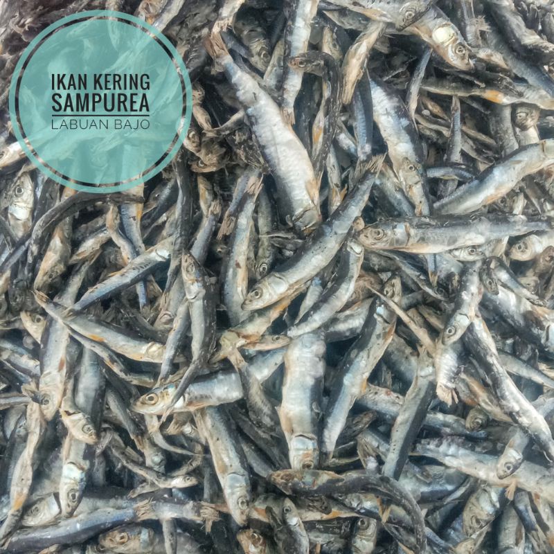 

Ikan Kering Sampurea Samporea khas Labuan Bajo Flores 1 kg