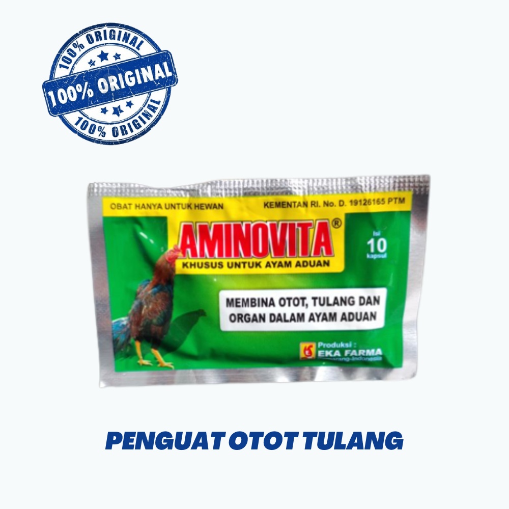 AMINOVITA 10 Kapsul - Obat Ayam Aduan Penguat Otot Tulang Petarung Eka Farma