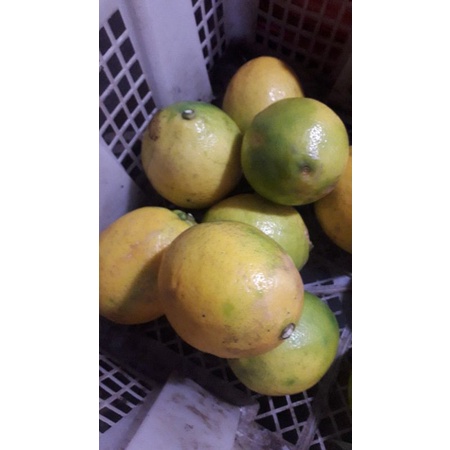 

jeruk lemon 500grm