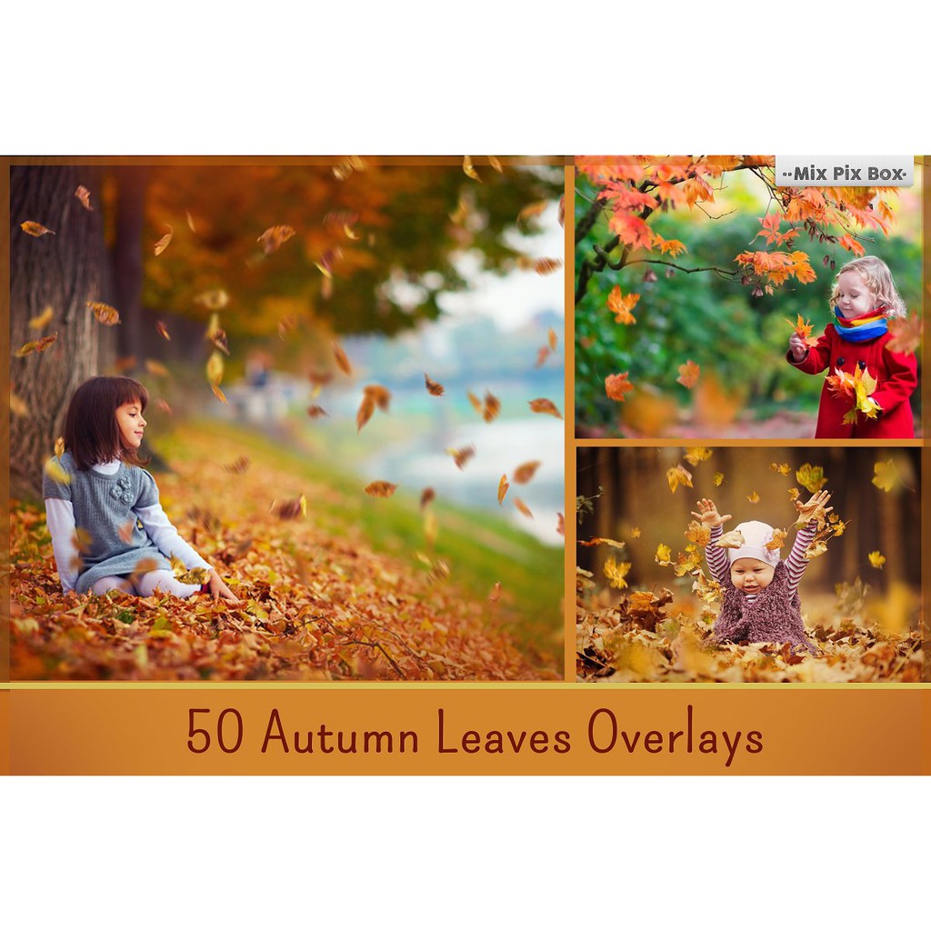 962 Photo Overlays Bundle - JPEG Ultra HD