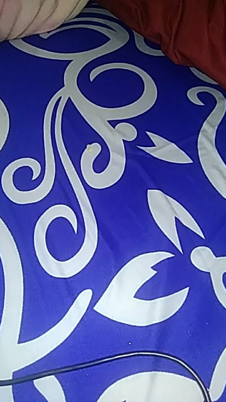 [200x160x10] Kasur Busa Inoac Ukuran No 2 Tebal 10 Cm Inoac Asli Awet Anti Kempes