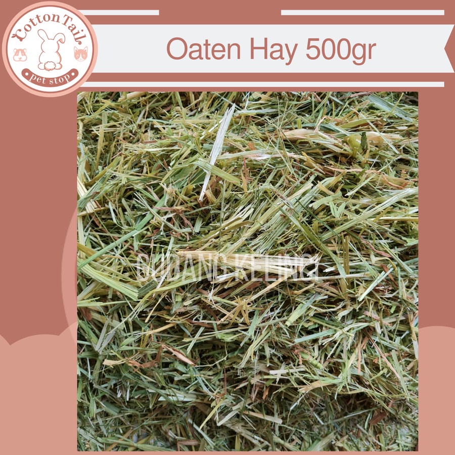 DAILY OATEN HAY MAKANAN KELINCI / BEST CHOICE 500GR / BUKAN TIMOTHY