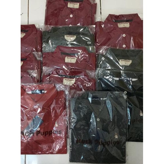 

♨yang murз Baju hush puppies barang original asli label dan tag sama dengan di toko kondisi segel ba