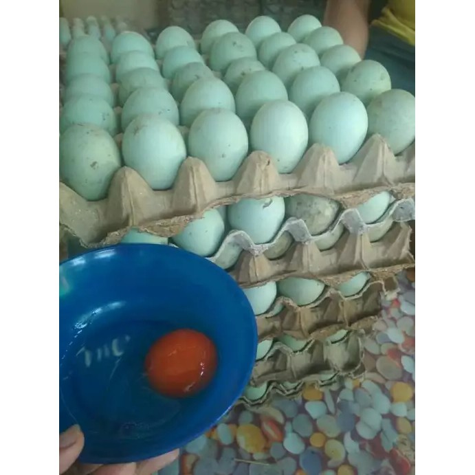 

Telur Bebek