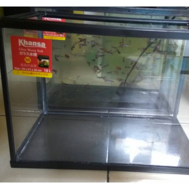 Aquarium Khansa Ikan Cupang Guppy Reptil Ukuran Size M Shopee Indonesia