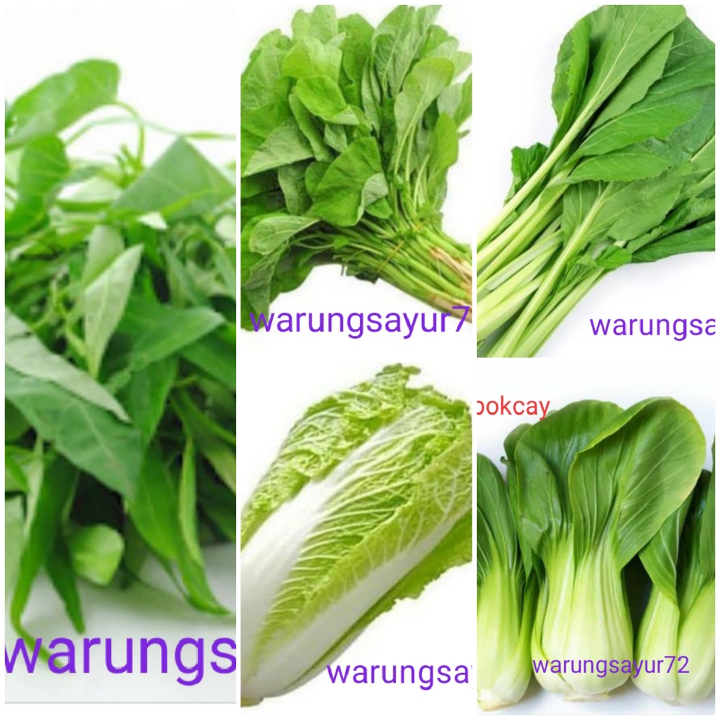 

Kangkung / Bayam / Sawi hijau / Sawi Putih/Pokcay