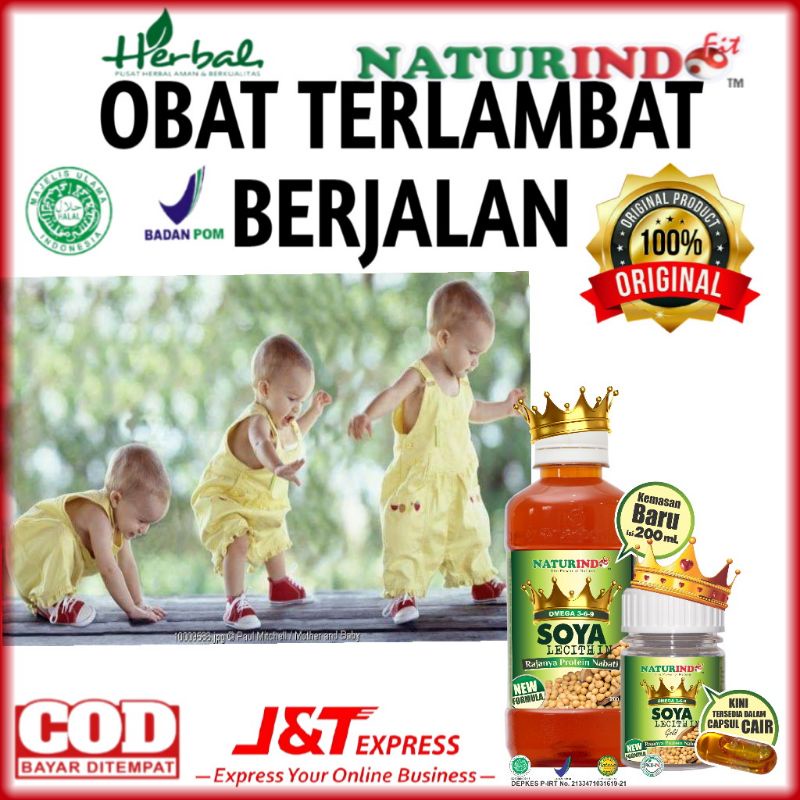 Obat Herbal Kecerdasan Otak Anak Ampuh Obat Terlambat Berjalan Anak Nutri Otak