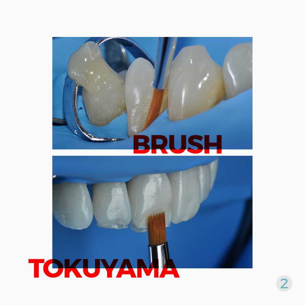 Jual Kuas dental Brush tokuyama no. 24 per 1 piece