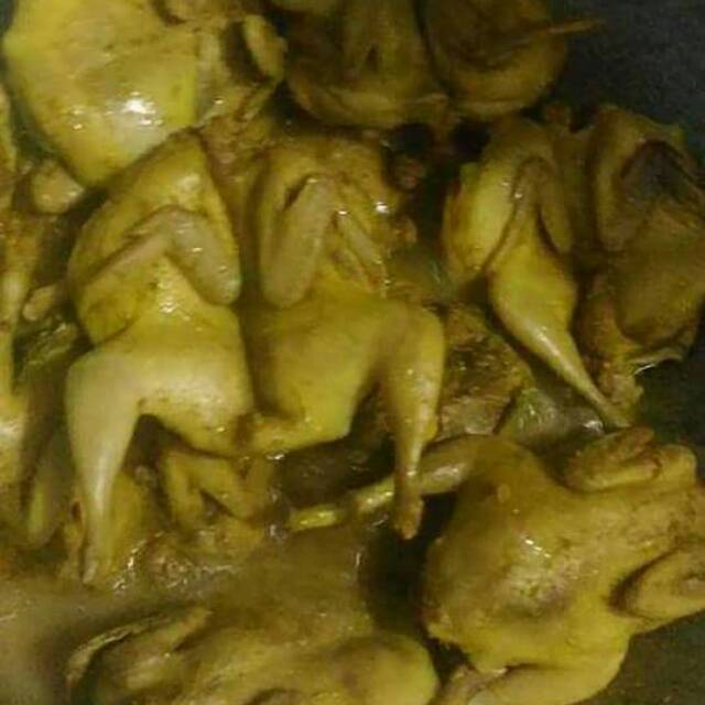 Burung Puyuh Presto Shopee Indonesia