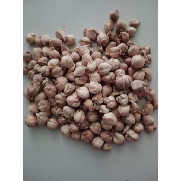

KAPULAGA 100gr | KAPULAGA 250gr | KAPULAGA 500gr | KAPULAGA 1 kg