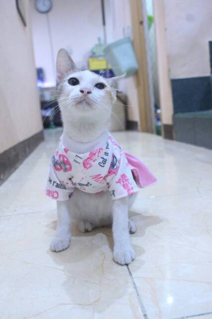 Dress bahan kaos kitty pink lucu untuk kucing dan anjing / baju kucing tangerang murah size S M L XL