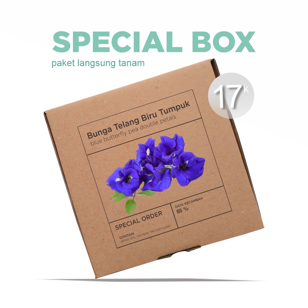 Paket Langsung Tanam - Gardening Kit - SPECIAL BOX - Benih Bunga Telang Biru Tumpuk Blue Butterfly Pea Double Petals Seeds