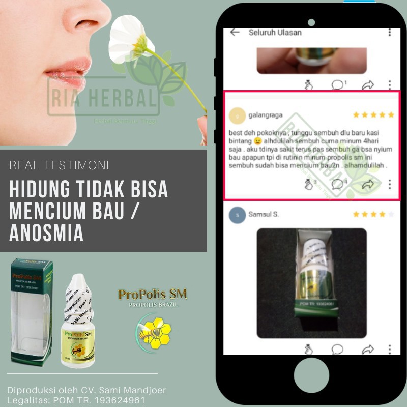 Obat Hidung Gatal dan Sering Bersin Akibat Rhinitis Alergi Alami, Mata Gatal Berair, Pengenti Meler-1