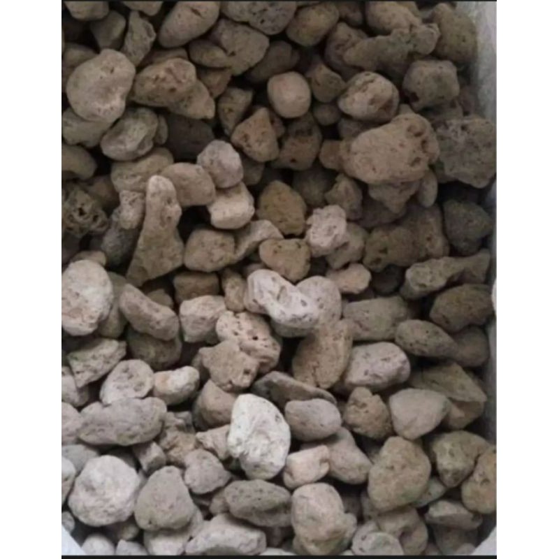 Batu apung pumice 500gram / Media Filter / Rumah bakteri / Bakteri house