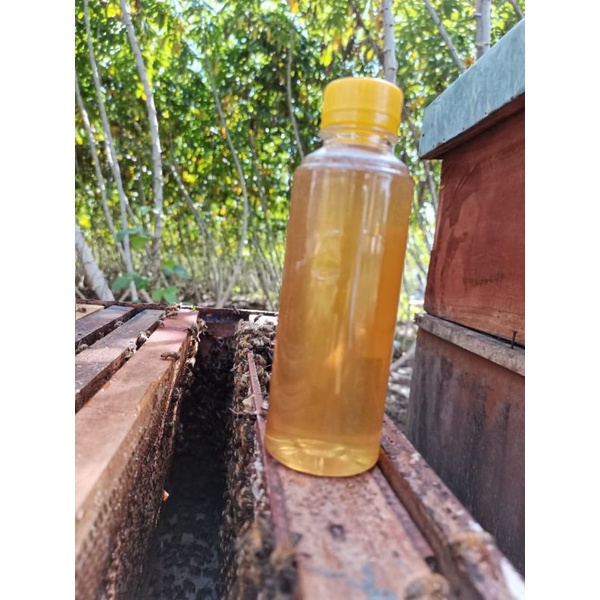 

Madu 100% original kemasan 500ml