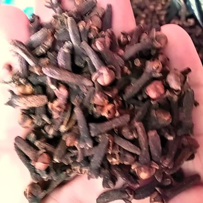 

Sale!! Cengkeh Kering 50G Terbaru