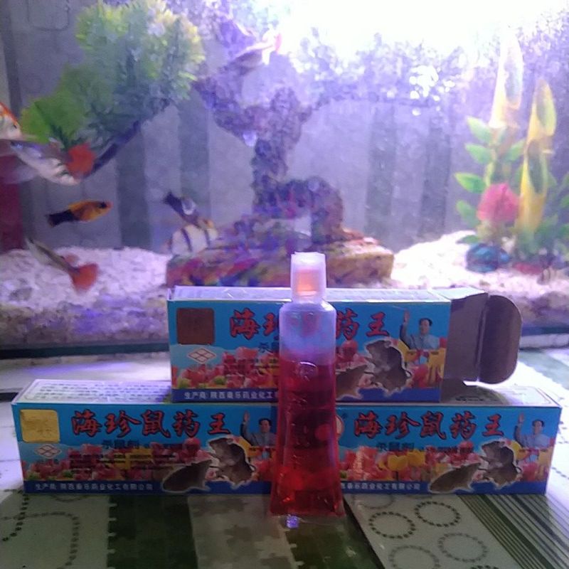 Racun Tikus Obat Tikus Maowang Import