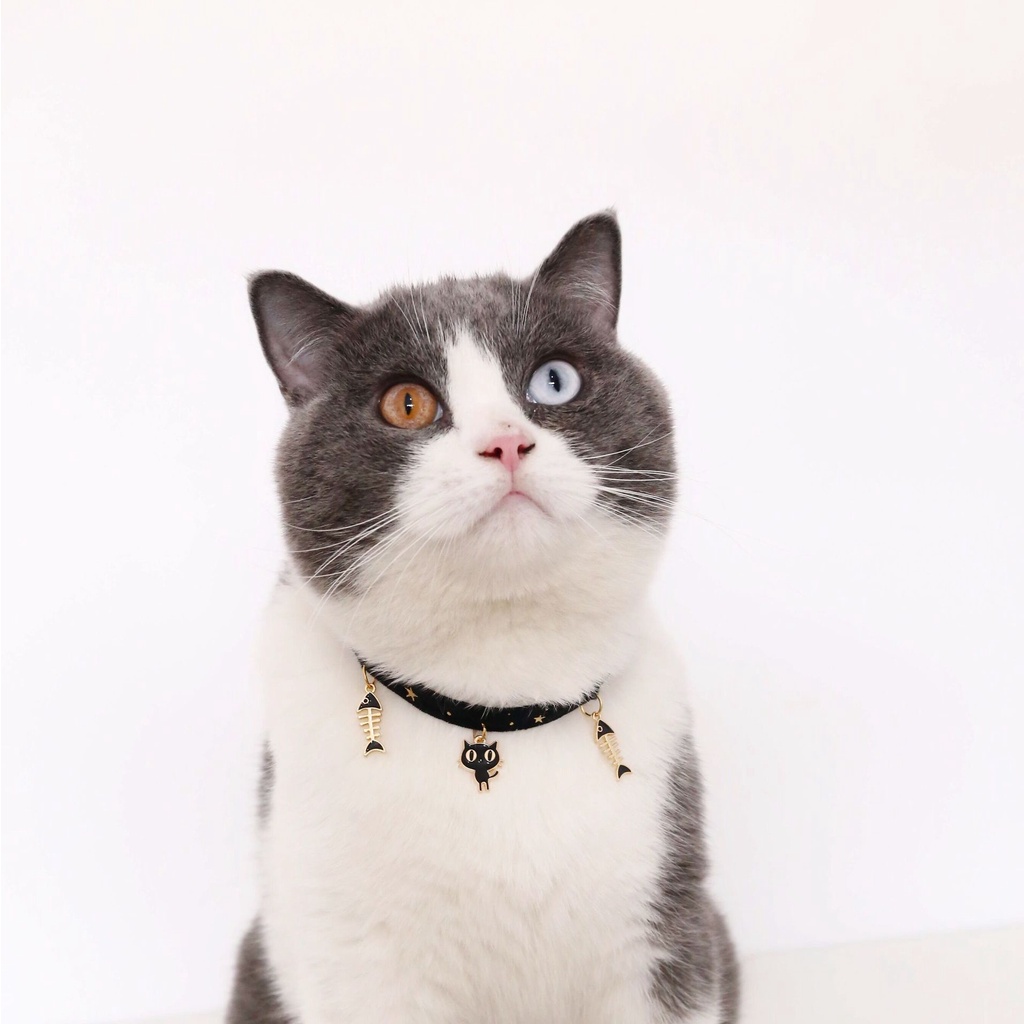 Kalung Collar Adjustable Bahan Velvet Motif Bunga Snowflake Untuk Anjing / Kucing