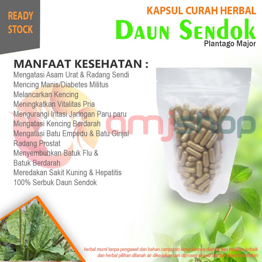 

Daun sendok kapsul curah herbal daun sendok kapsul herbal asam urat radang sendi diabetes melitus