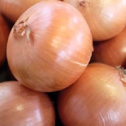 

Bawang Bombay 500 gr