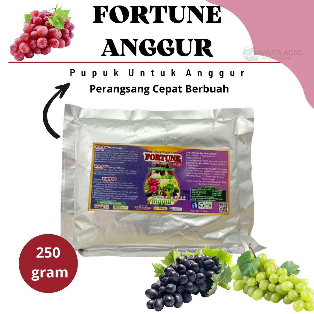 Booster Anggur Cepat Berbuah, Pupuk Booster Pelebat Buah Anggur, Pupuk Perangsang Buah Anggur, FORTU