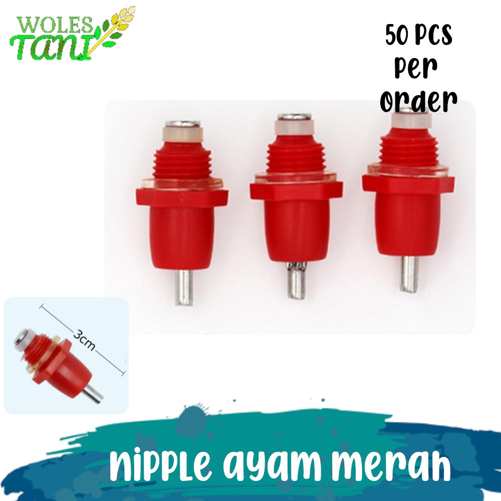Nipel Nepel Ayam Broiler Ayam Petelur 50 Pcs