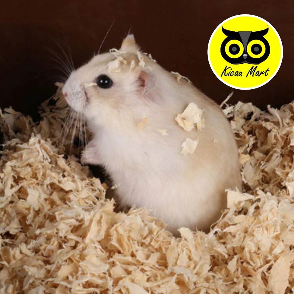 SERBUK KAYU HAMSTER SUGAR GLIDER HALUS SERBUK KAYU ALAS KANDANG BURUNG LANDAK MINI MARMUT KELINCI-2