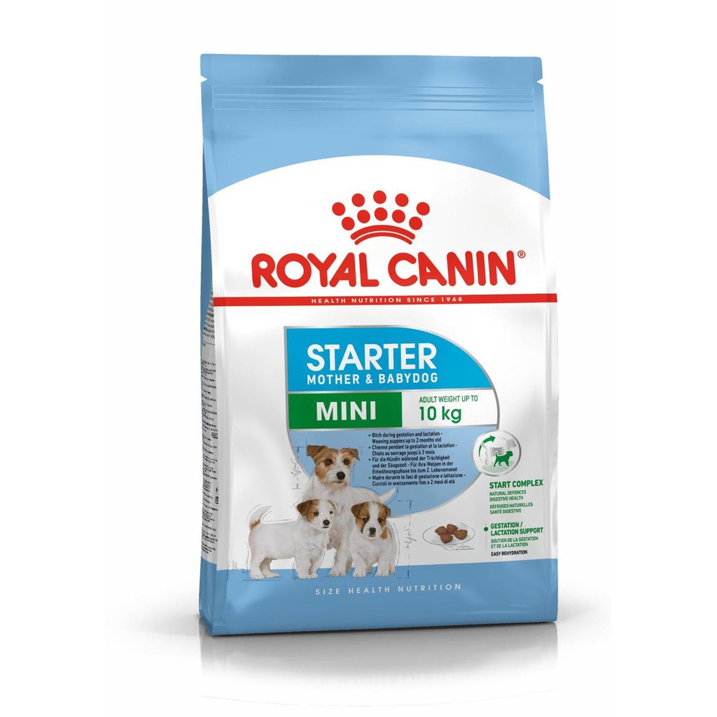 ROYAL CANIN Mini Starter Mother &amp; Babydog 1kg Makanan Anak Anjing