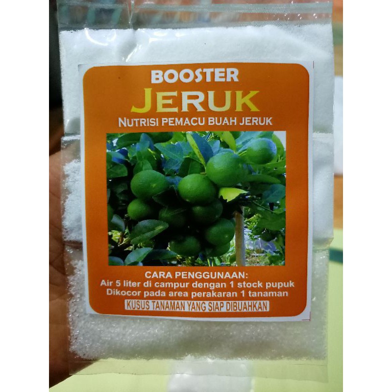 Cara Membuat Obat Perangsang Dari Daun Jeruk - 7 Manfaat ...