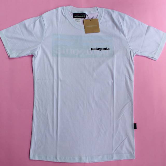 patagonia t shirt p6 white