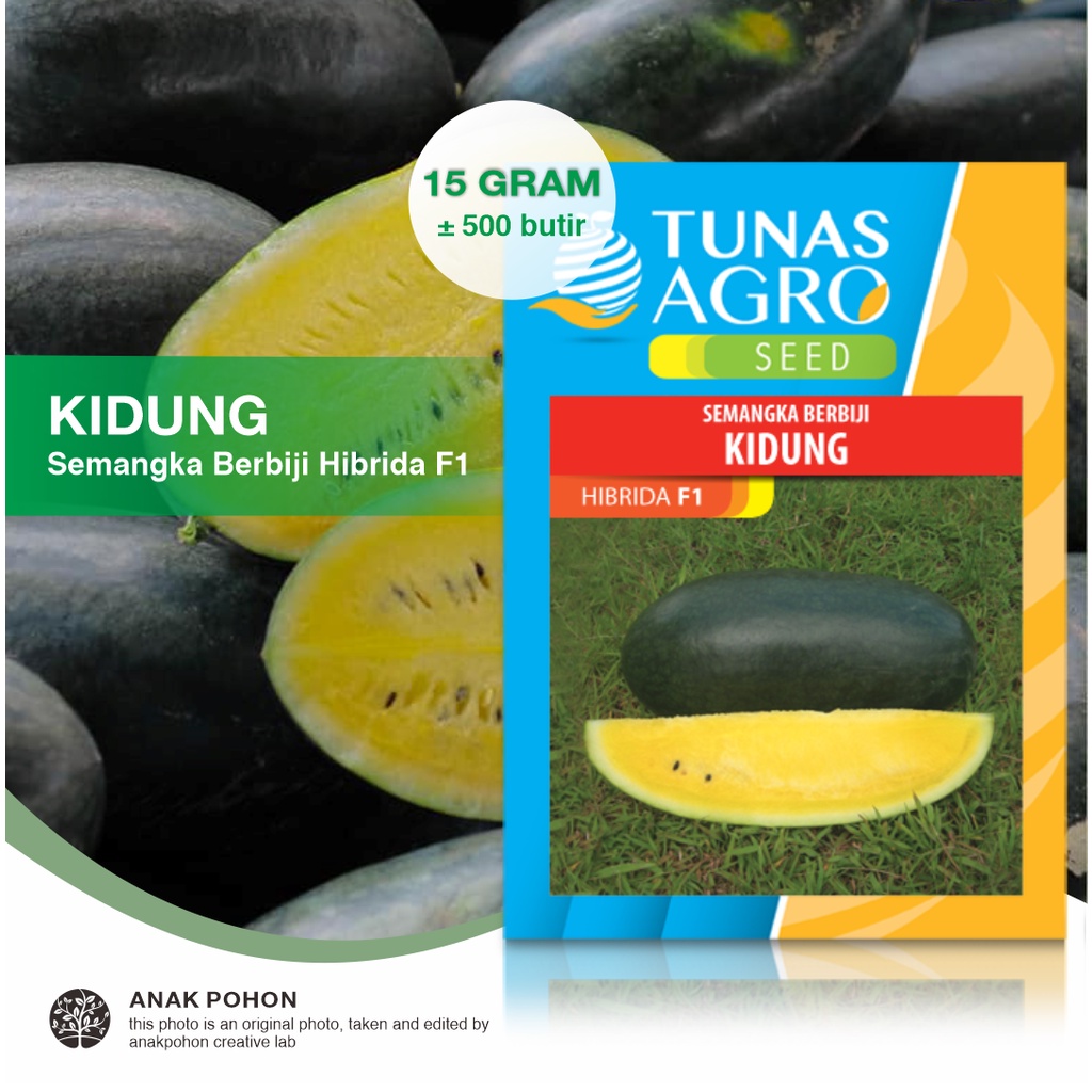 (1 PACK) Benih Semangka Inul Kuning Berbiji KIDUNG F1 Hibrida Seeds - Tunas Agro Seed - 15 GRAM