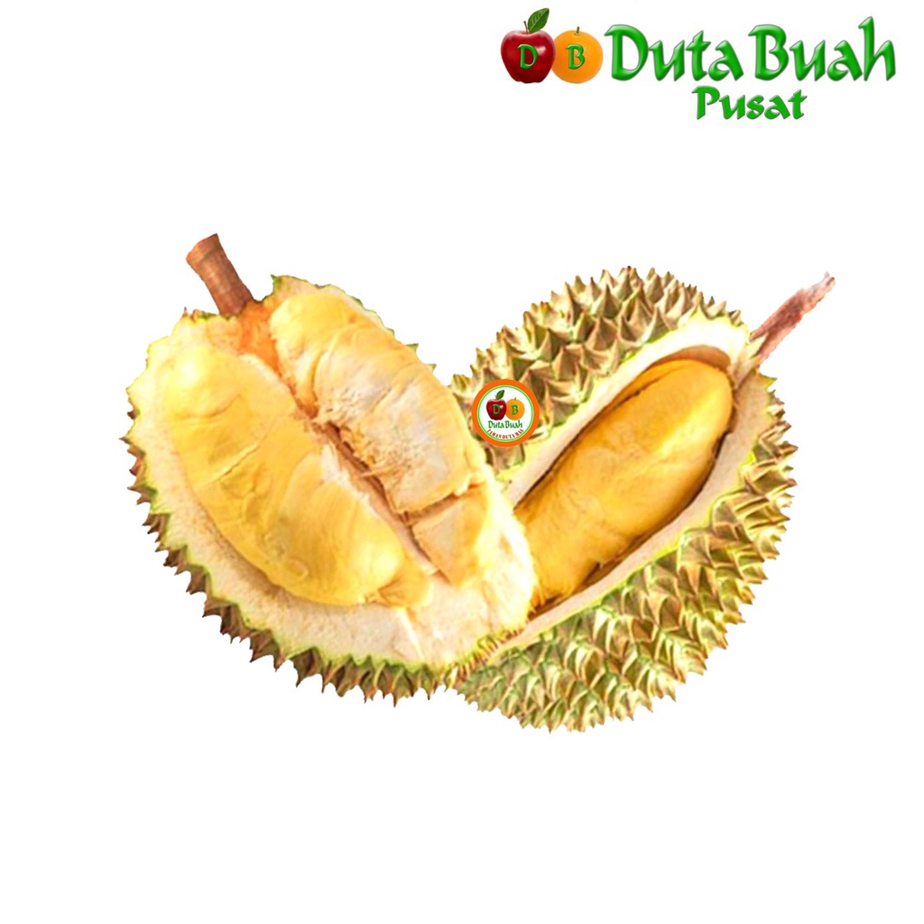 

DUTA BUAH DURIAN SULTAN (+-1-1.5kg/buah)