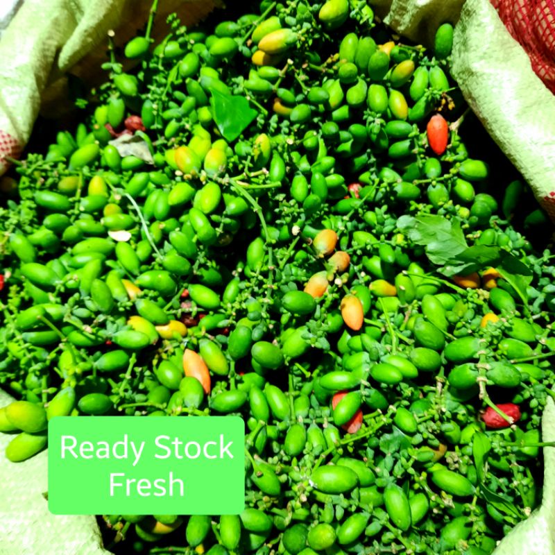 

melinjo tangkil 250g