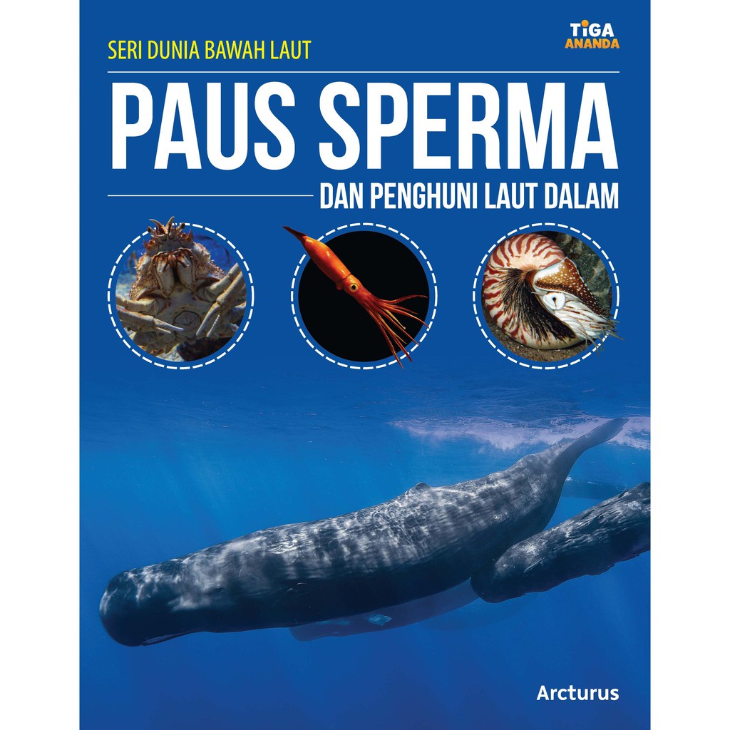 Seri Dunia Bawah Laut: Paus Sperma dan Penghuni Laut Dalam
