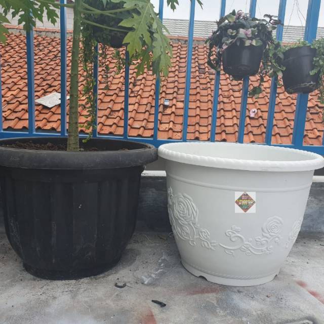 pot bunga tanaman shallom bulat putih 50cm - jumbo shallom