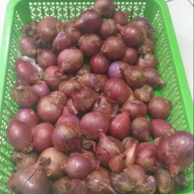 Bawang 1kg harga Harga dan