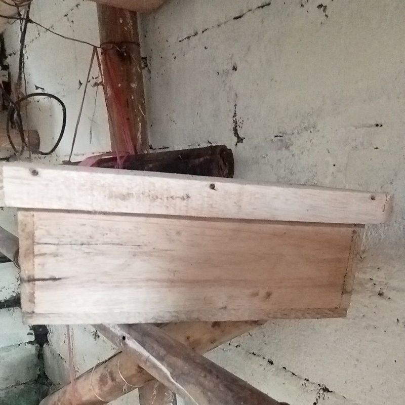 

stup koloni bekas ukuran 30x13x11