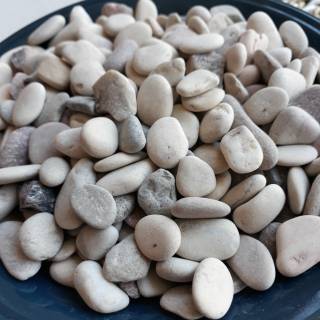BATU PANCAWARNA 250GRAM KECIL ASLI KAKTUS SUCULENT BATU PANCAWARNA 250GRAM KECIL ASLI KAKTUS SUCULENT