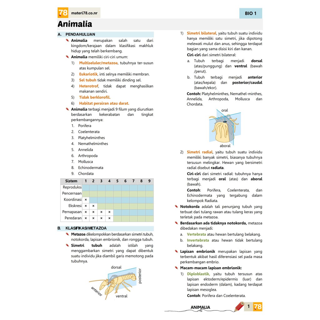 Tka Zenius Tps Zenius Soal Saintek Utbk Latsol Ui Latsol Skolastik Materi 78 Utbk Saintek Shopee Indonesia