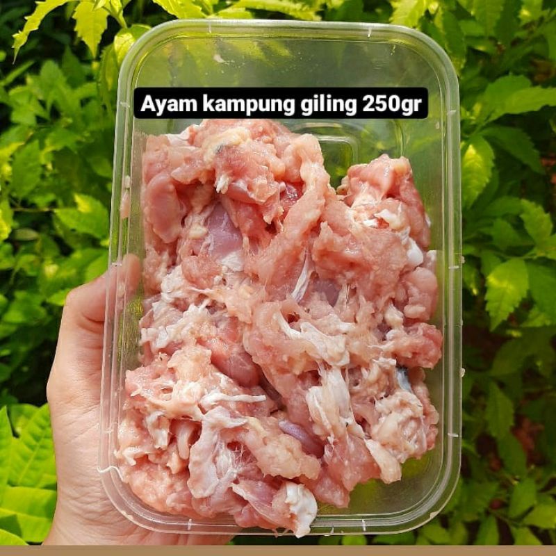 

DAGING AYAM KAMPUNG GILING 250GR