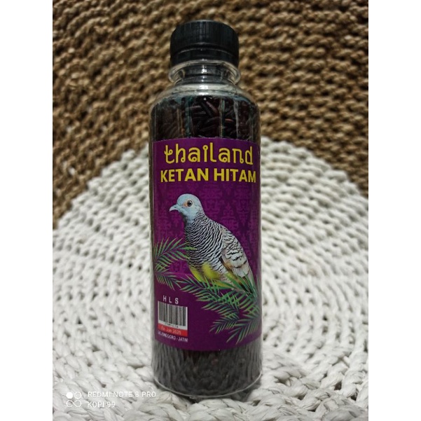 ketan hitam makanan perkutut thailand ketan hitam