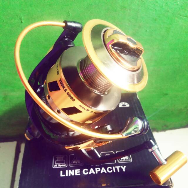 Reel Pancing Catfis 6000