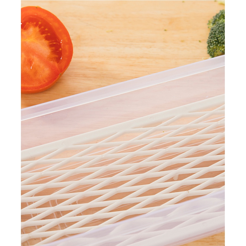 Kotak Kontainer Makanan Kulkas Kitchen Storage Food Box + Drain Hole