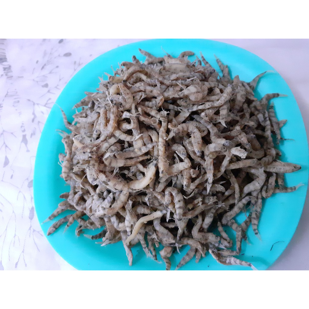 

Penja Kering Sulbar